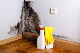 Best Real Estate Mold Inspection in Ferris, TX